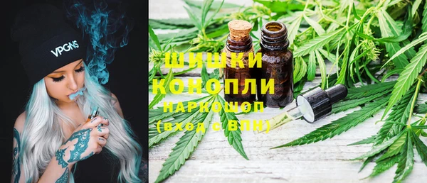 PSILOCYBIN Осташков