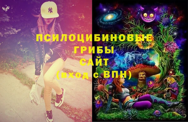 хмурый Нягань