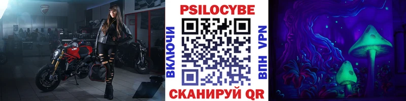 Галлюциногенные грибы Psilocybine cubensis  Ардатов 
